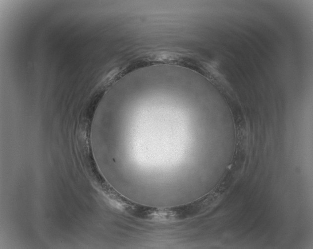 X0000081290415200701181814