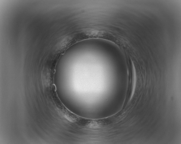 X0000081290416200701181814