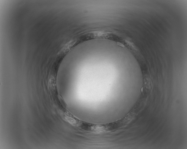 X0000081290419200701181814