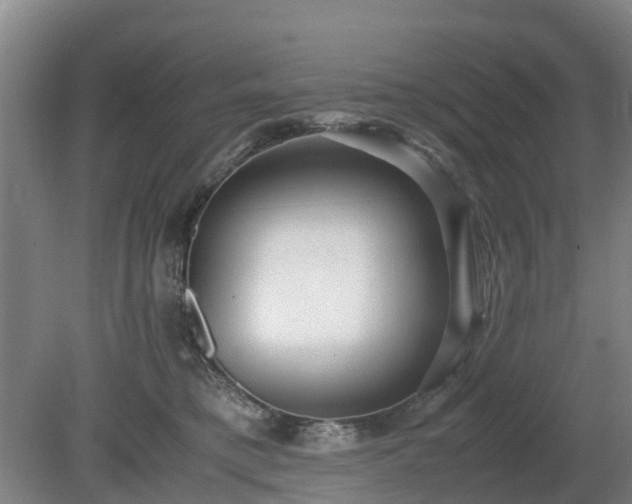 X0000081290421200701181814