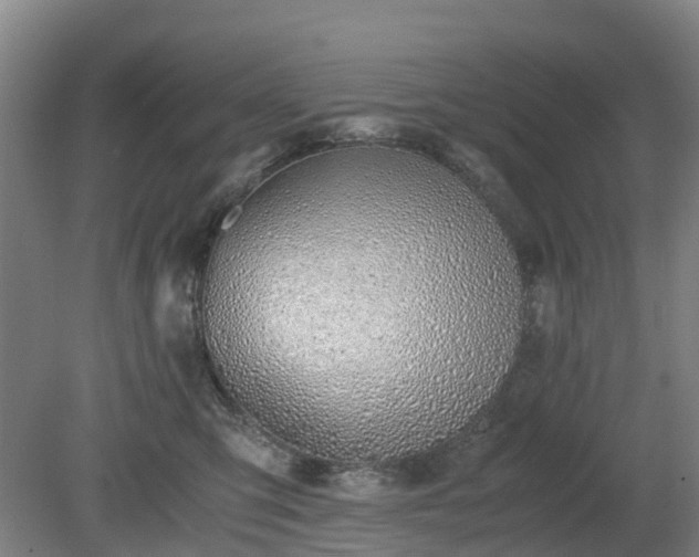 X0000081290423200701181814
