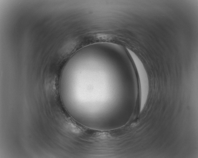 X0000081290424200701181814