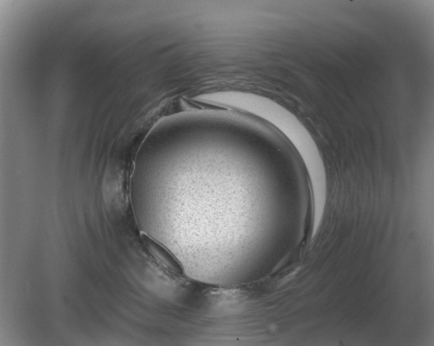 X0000081290428200701181814
