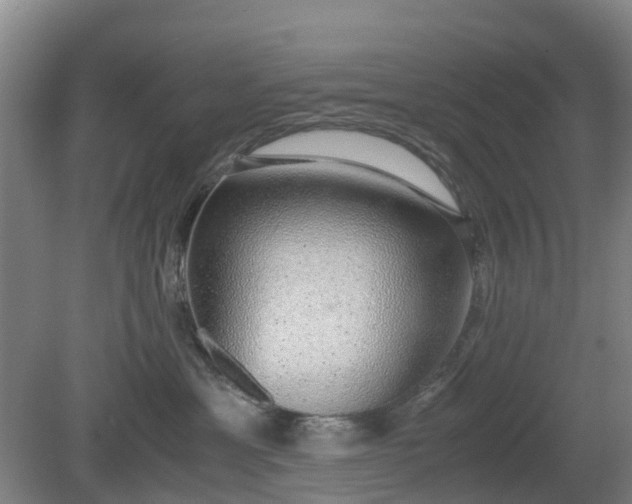 X0000081290429200701181814