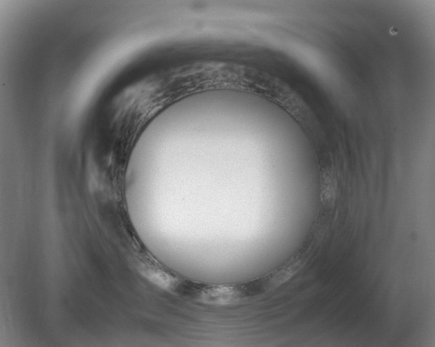 X0000081290431200701181814