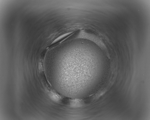 X0000081290432200701181814