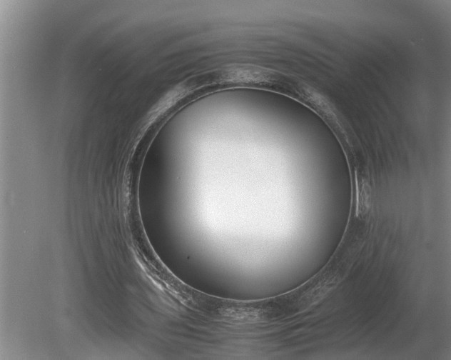 X0000081290435200701181813