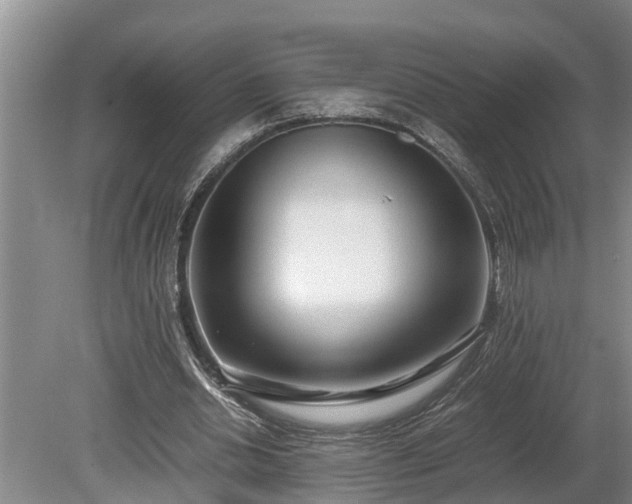 X0000081290438200701181813
