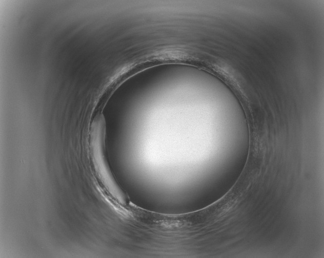 X0000081290439200701181813