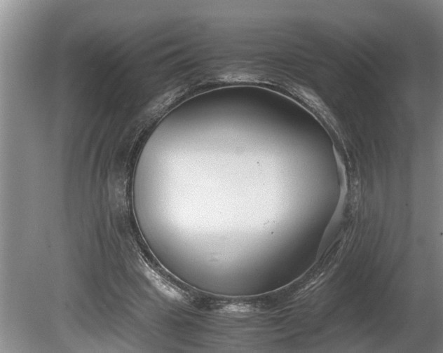 X0000081290441200701181813
