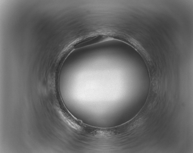 X0000081290442200701181813