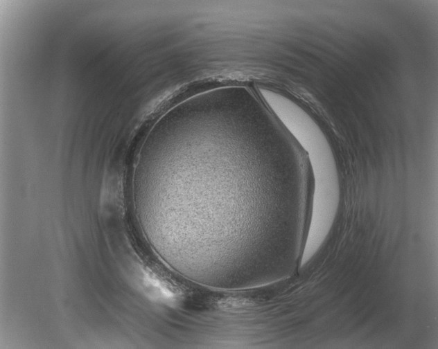 X0000081290444200701181813