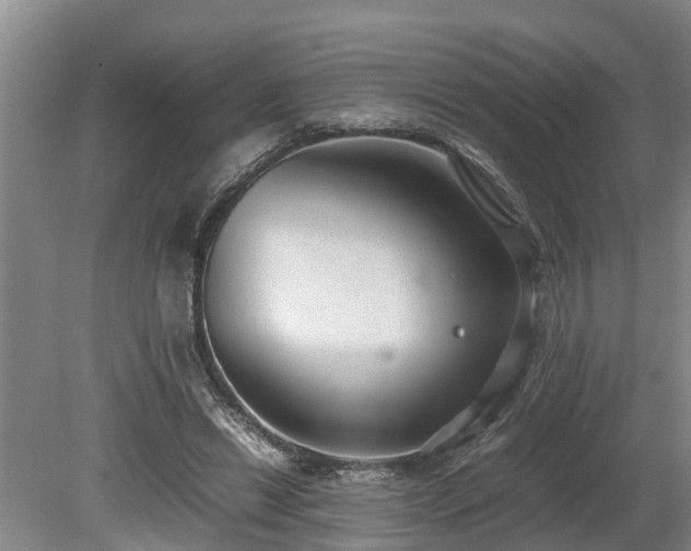 X0000081290446200701181813