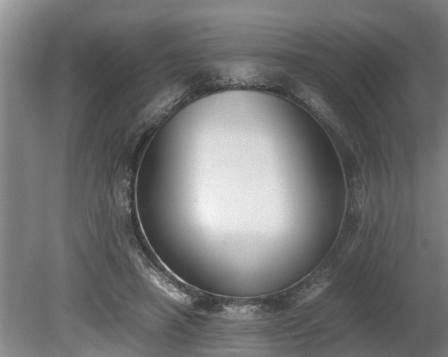 X0000081290450200701181813
