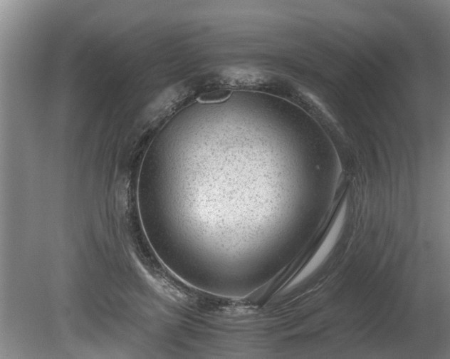 X0000081290451200701181813