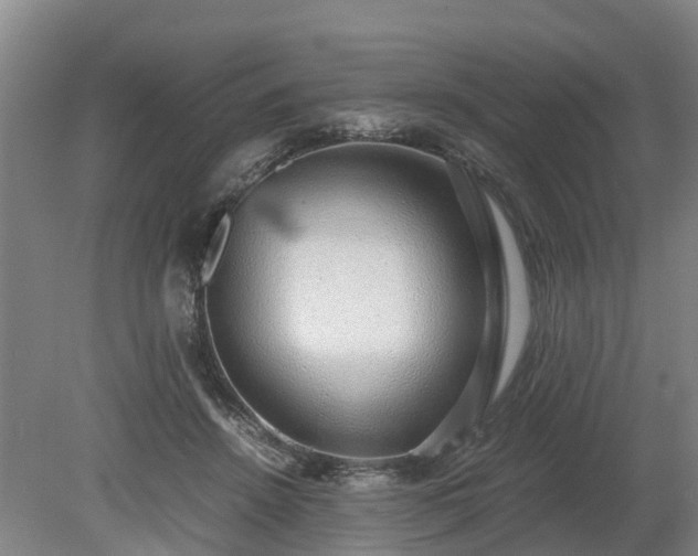 X0000081290456200701181813
