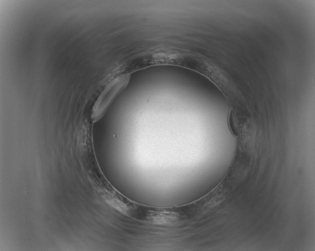 X0000081290463200701181814
