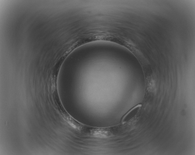 X0000081290471200701181814