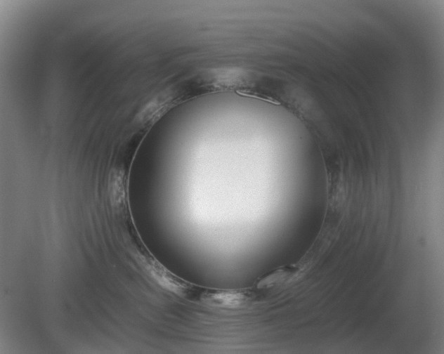 X0000081290478200701181814