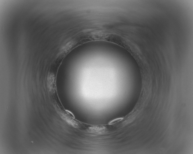 X0000081290480200701181814