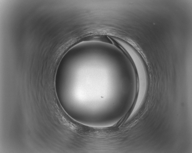 X0000081290481200701181813
