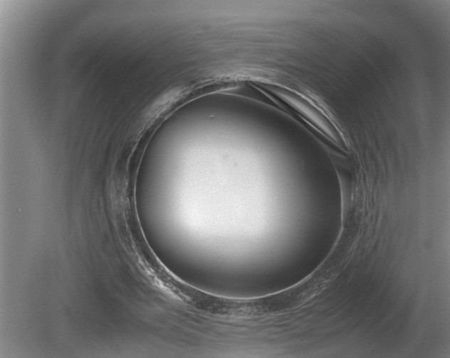 X0000081290485200701181813