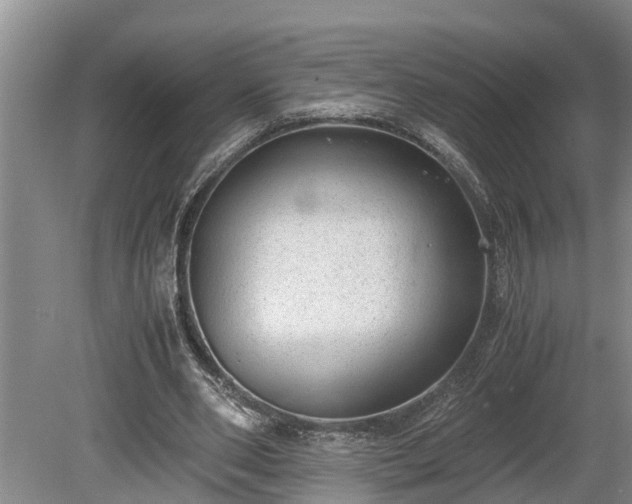 X0000081290486200701181813