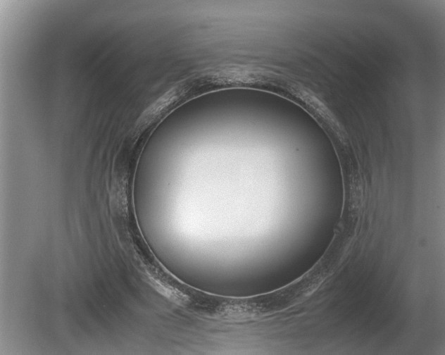X0000081290489200701181813