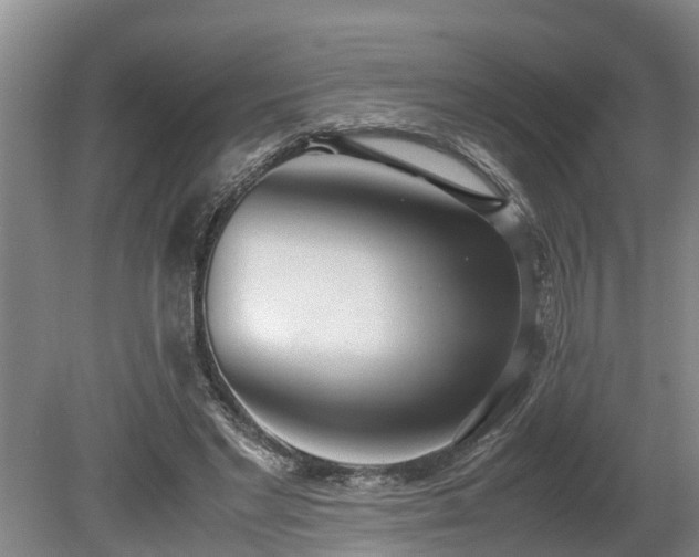 X0000081290493200701181813