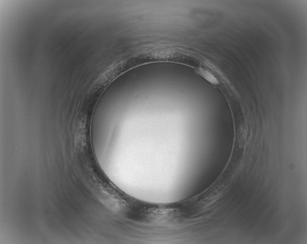 X0000081290497200701181813