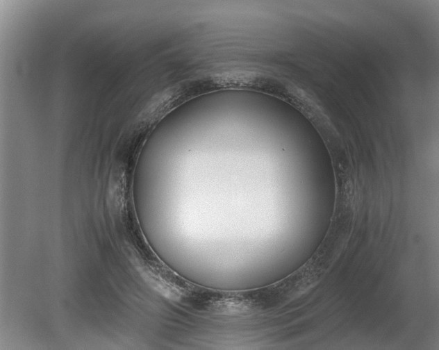X0000081290498200701181813