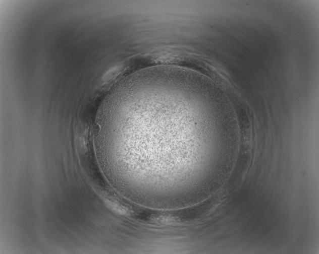 X0000081290503200701181813