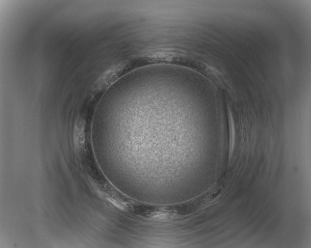X0000081290504200701181813