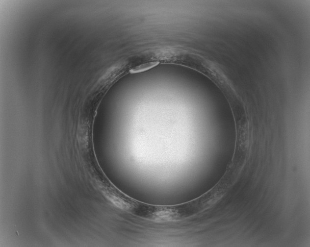 X0000081290505200701181813