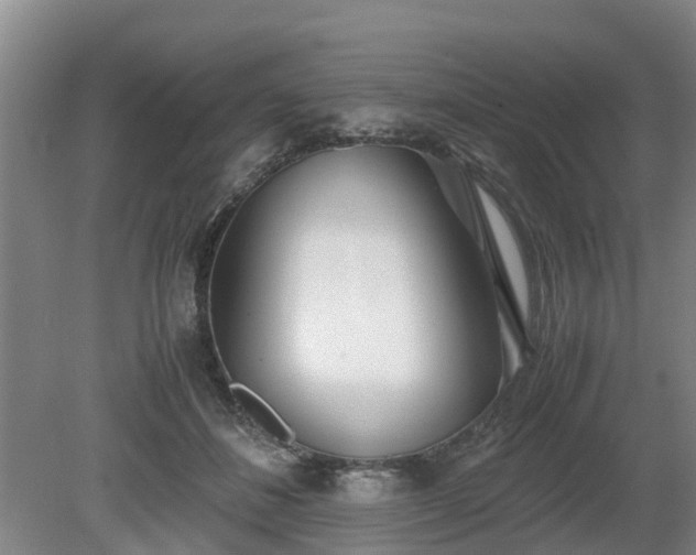 X0000081290508200701181813