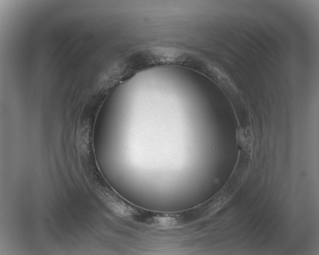 X0000081290509200701181813