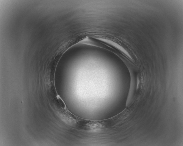X0000081290512200701181812