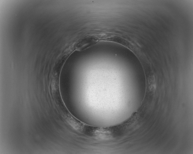 X0000081290515200701181812