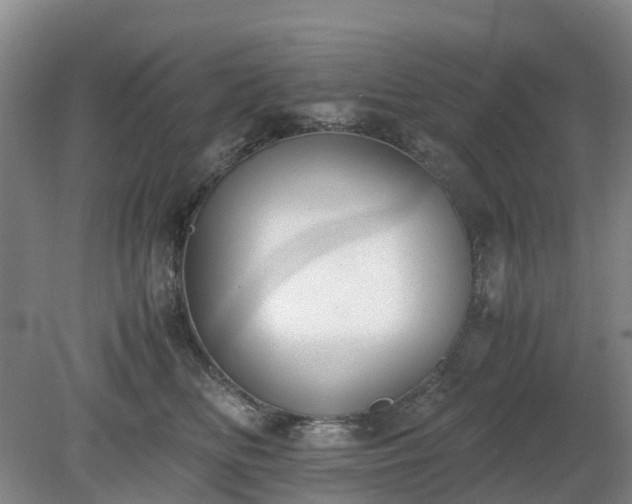X0000081290518200701181812