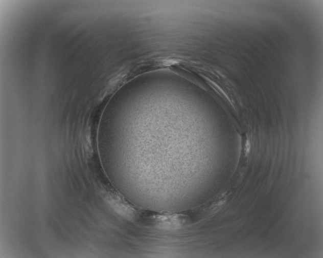 X0000081290524200701181812