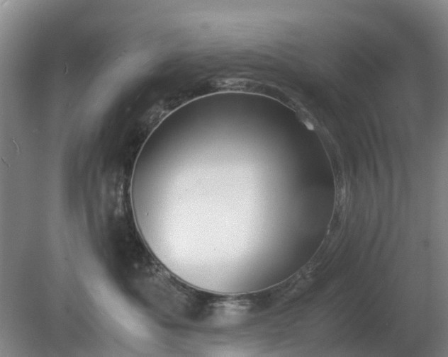 X0000081290525200701181812