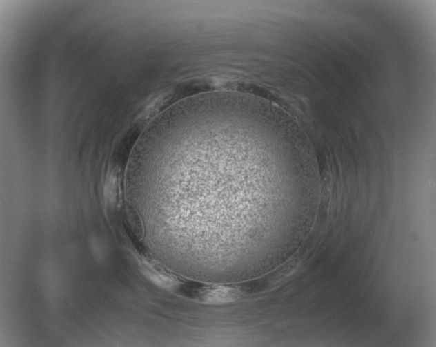 X0000081290527200701181812