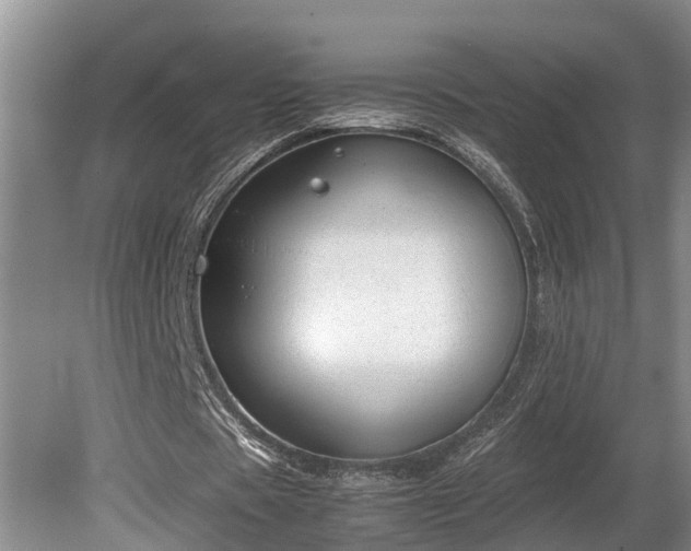 X0000081290529200701181811