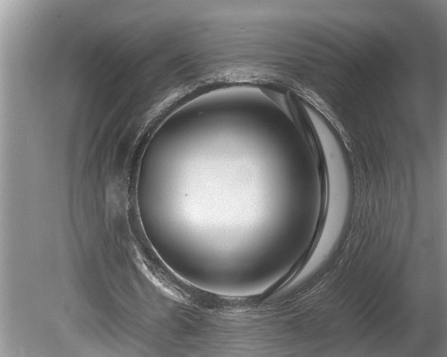 X0000081290530200701181811
