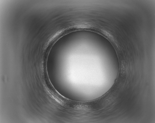 X0000081290535200701181811
