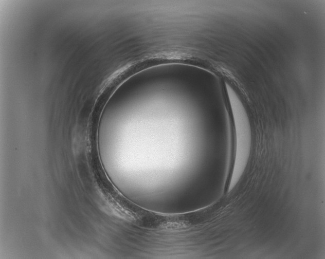 X0000081290536200701181811
