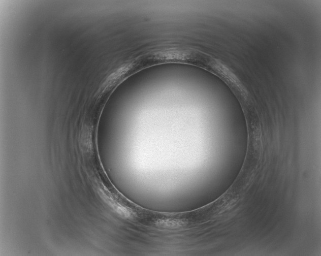 X0000081290537200701181812
