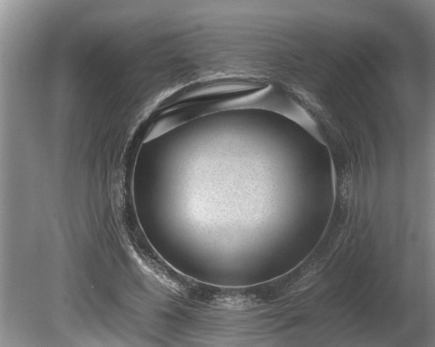 X0000081290540200701181812