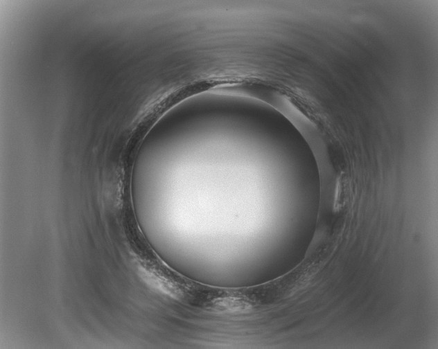X0000081290544200701181812