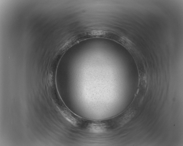 X0000081290556200701181812